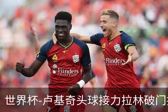 世界杯-卢基奇头球接力拉林破门扳平 加拿大1-1波黑