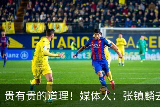 贵有贵的道理！媒体人：张镇麟去年加盟上海转会费投入超5000万