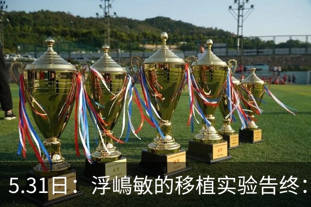 5.31日：浮嶋敏的移植实验告终：中国足球的未来只能靠混血自救？